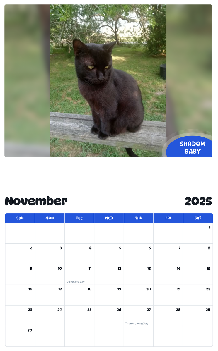 July 2025 - June 2026 Shadow Baby - Pawidols Pet Calendar
