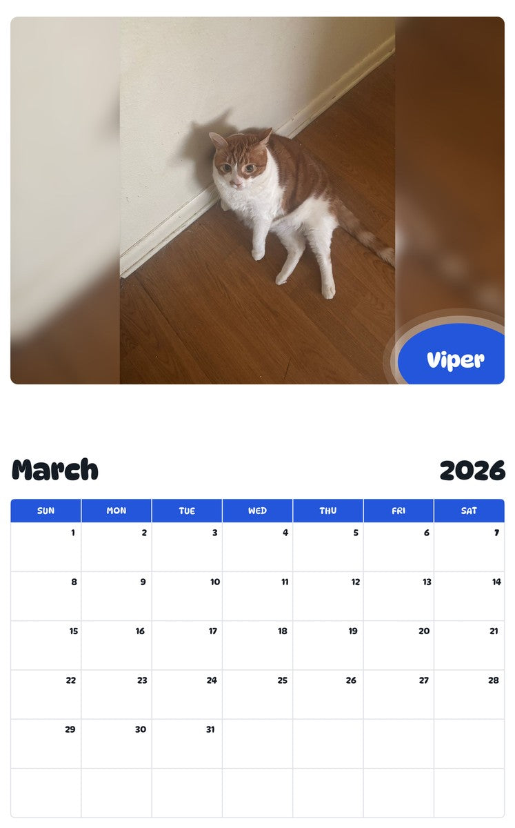 November 2025 - October 2026 Viper - Pawidols Pet Calendar