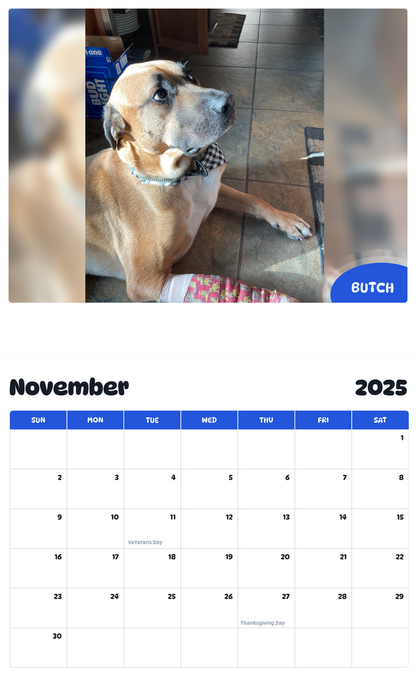 July 2025 - June 2026 Butch - Pawidols Pet Calendar