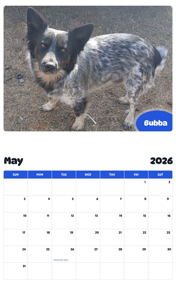 2026 - 2027 Bubba - Pawidols Pet Calendar