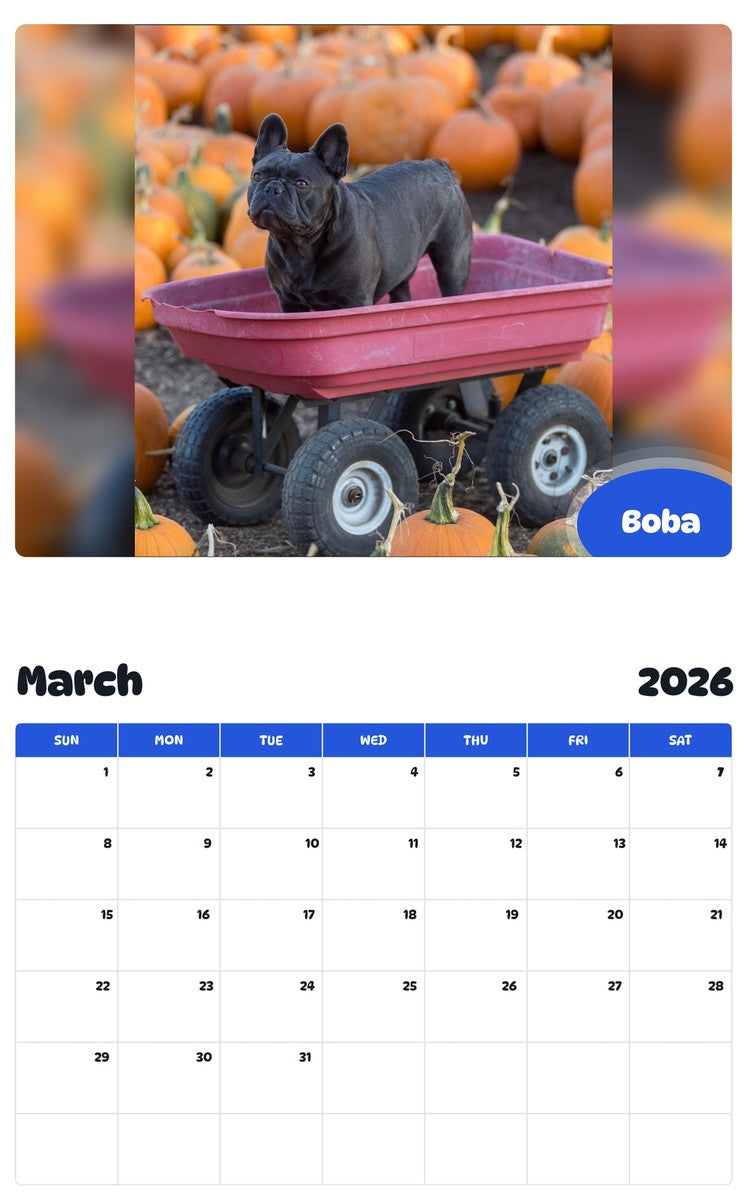November 2025 - October 2026 Boba - Pawidols Pet Calendar