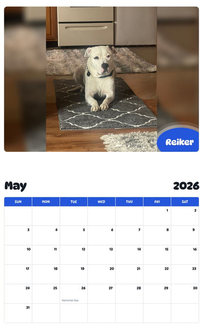 2026 - 2027 Reiker - Pawidols Pet Calendar