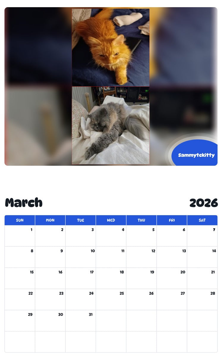 November 2025 - October 2026 Sammytckitty - Pawidols Pet Calendar