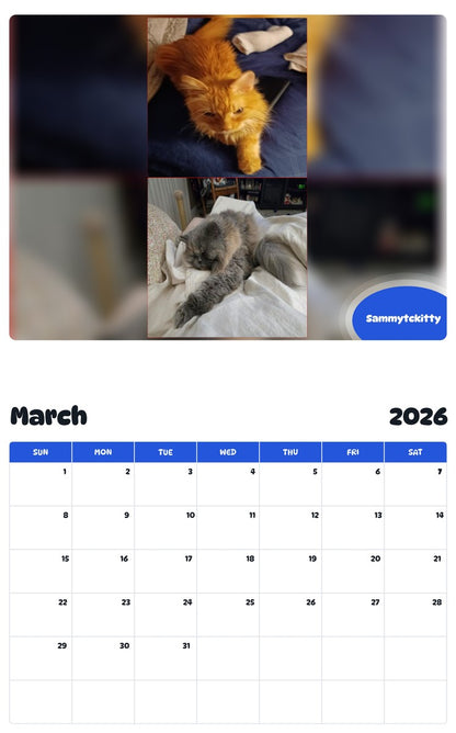 November 2025 - October 2026 Sammytckitty - Pawidols Pet Calendar