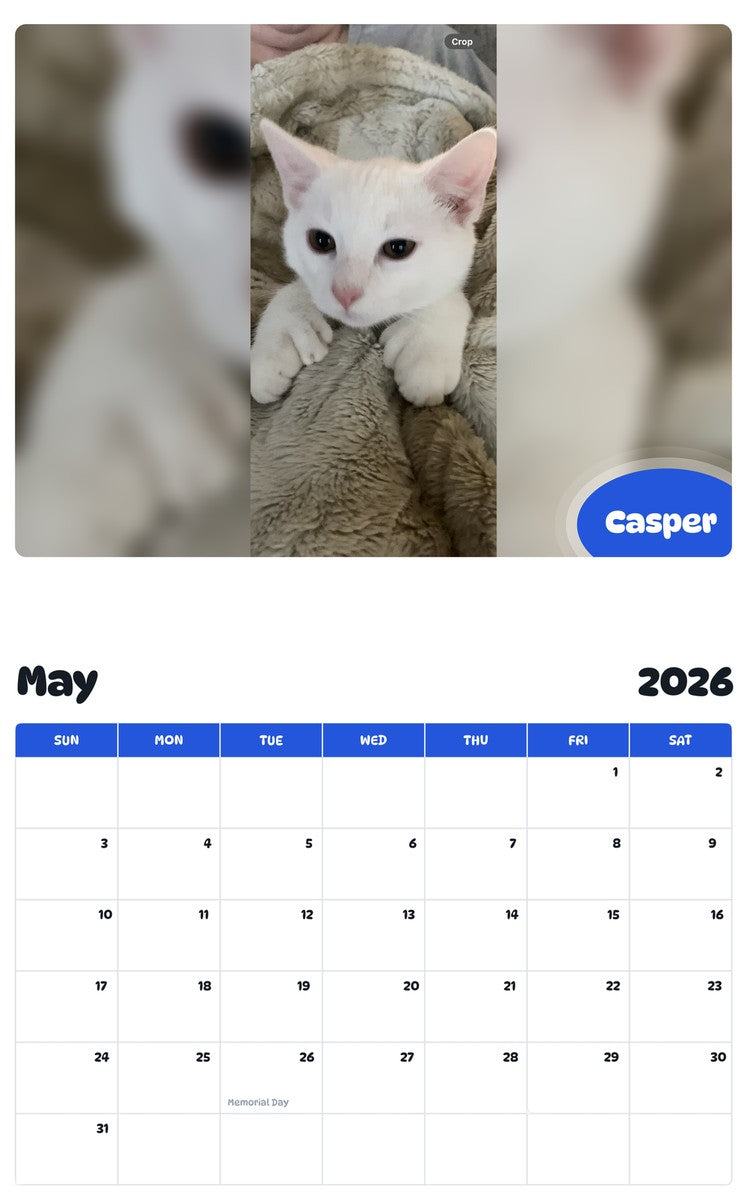 2026 - 2027 Casper - Pawidols Pet Calendar