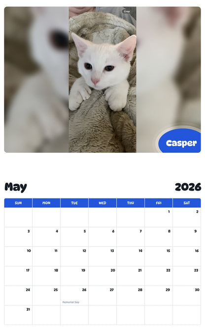 2026 - 2027 Casper - Pawidols Pet Calendar
