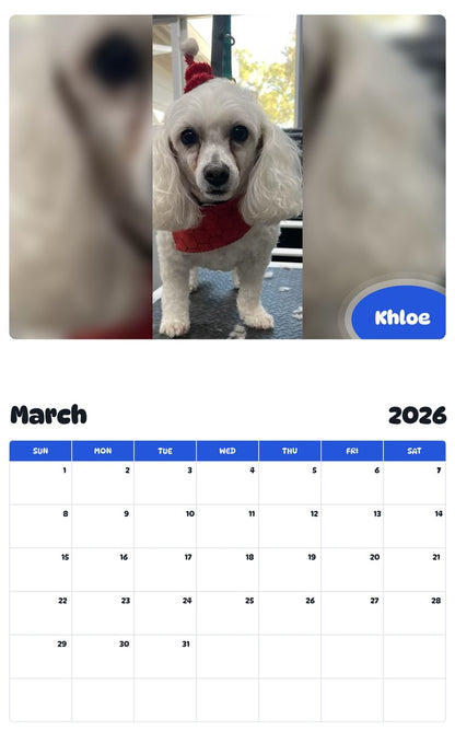 November 2025 - October 2026 Khloe - Pawidols Pet Calendar