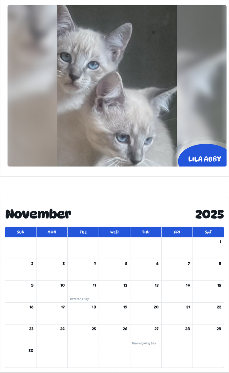 July 2025 - June 2026 Lila abby - Pawidols Pet Calendar