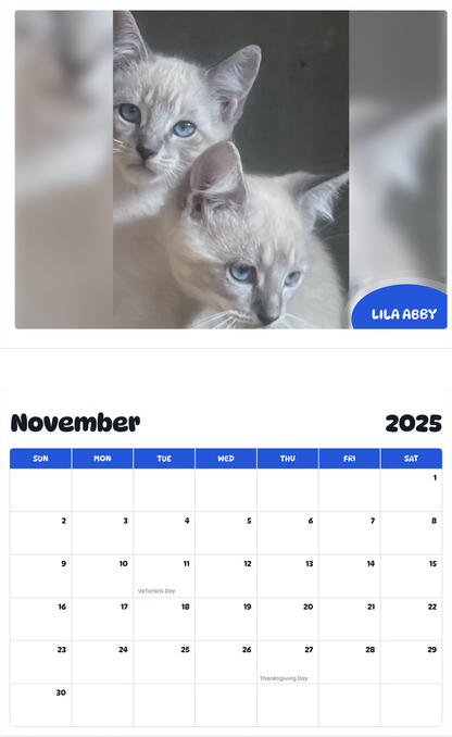 July 2025 - June 2026 Lila abby - Pawidols Pet Calendar