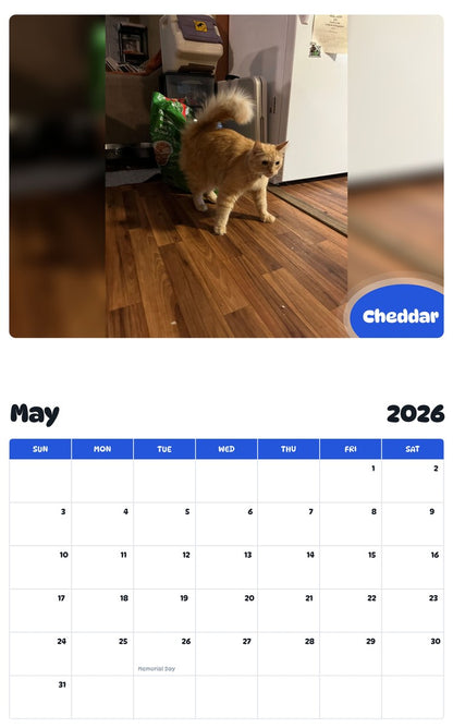 2026 - 2027 Cheddar - Pawidols Pet Calendar