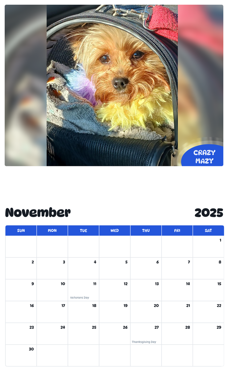 July 2025 - June 2026 CrazyMazy - Pawidols Pet Calendar