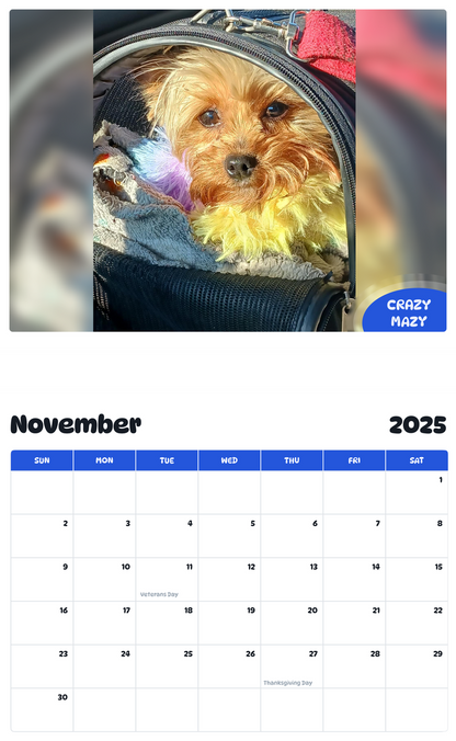 July 2025 - June 2026 CrazyMazy - Pawidols Pet Calendar