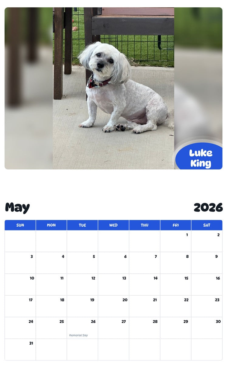 2026 - 2027 Luke King - Pawidols Pet Calendar