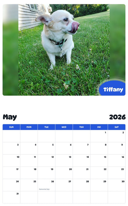 2026 - 2027 Tiffany - Pawidols Pet Calendar