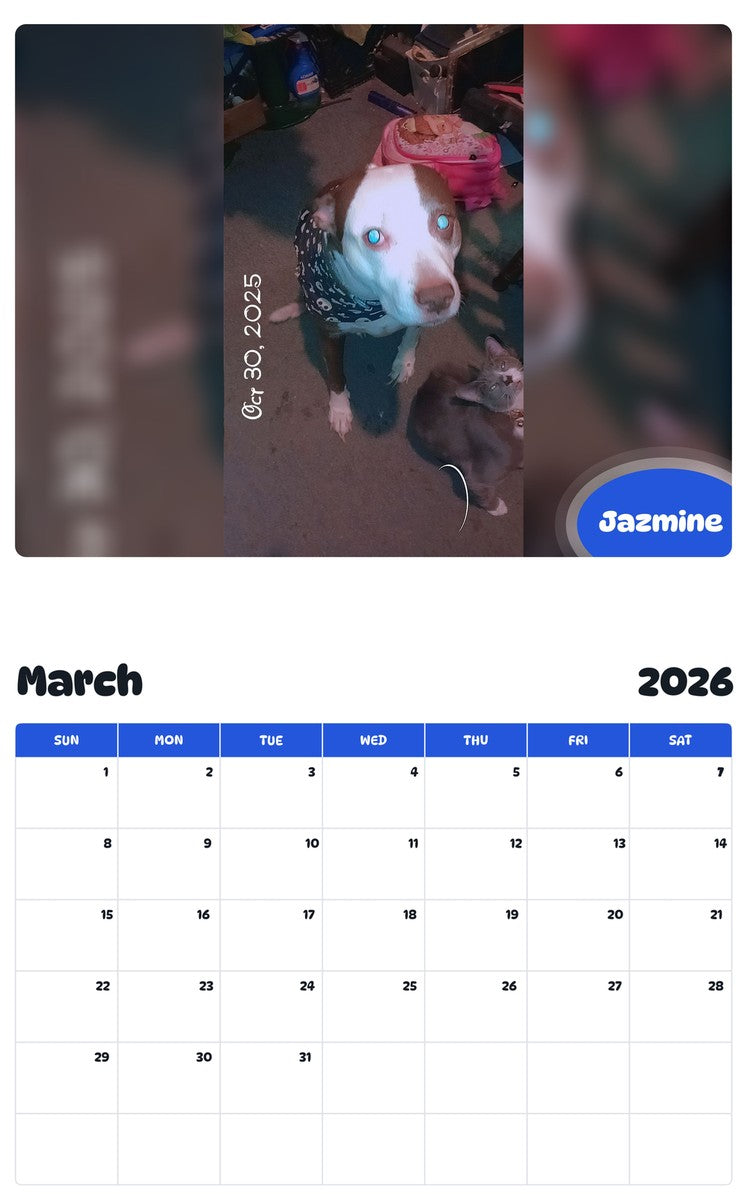November 2025 - October 2026 Jazmine - Pawidols Pet Calendar