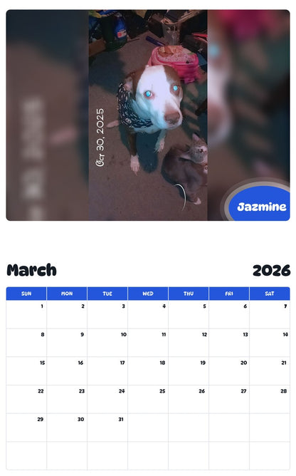 November 2025 - October 2026 Jazmine - Pawidols Pet Calendar