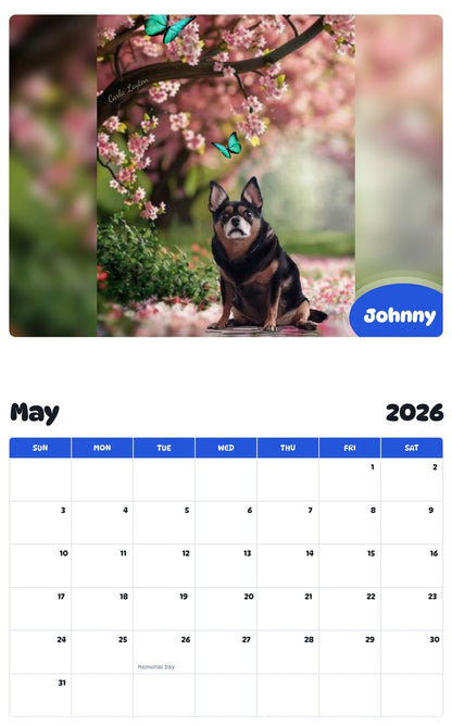 2026 - 2027 Johnny - Pawidols Pet Calendar