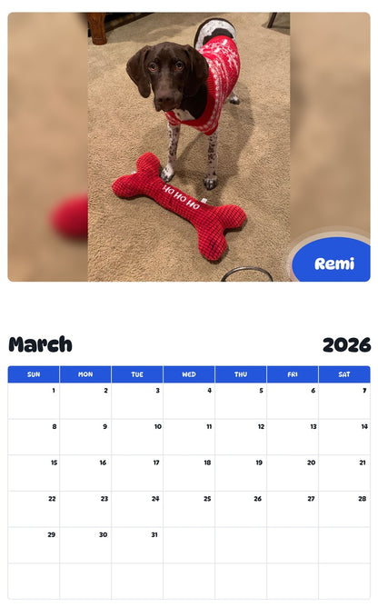 November 2025 - October 2026 Remi - Pawidols Pet Calendar