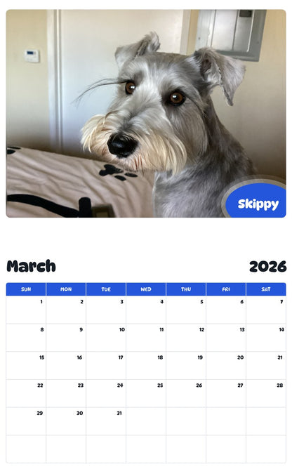 November 2025 - October 2026 Skippy - Pawidols Pet Calendar