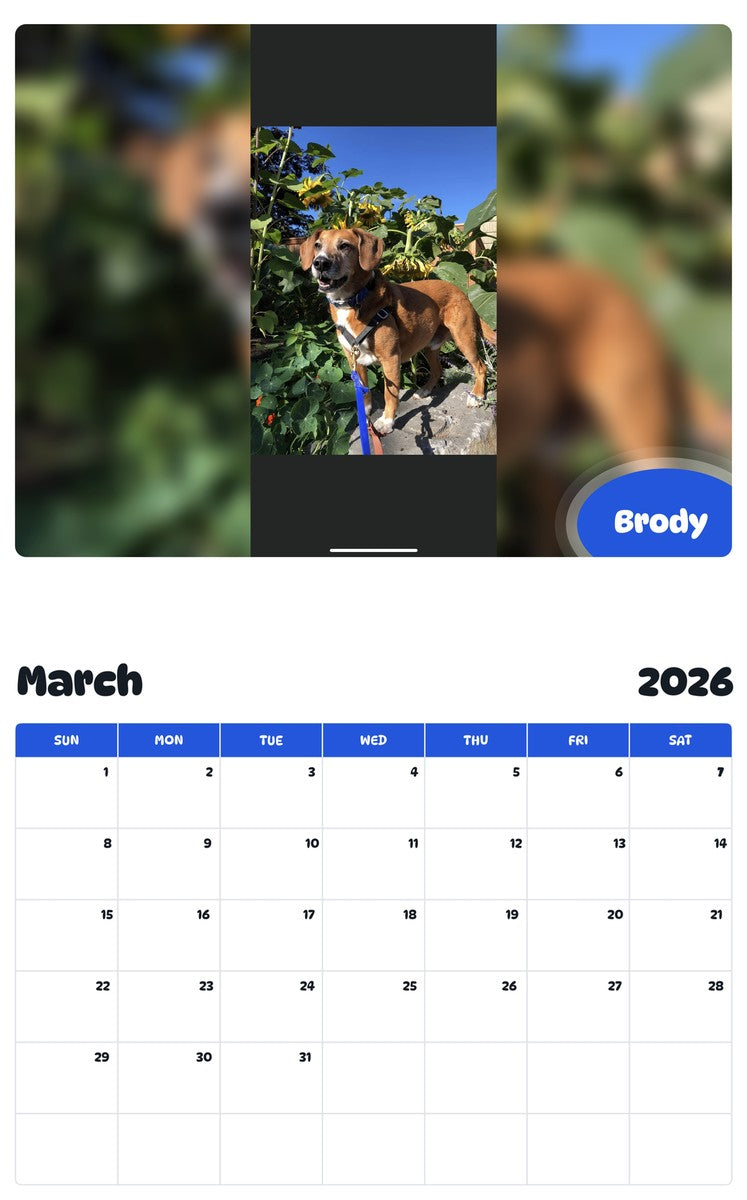 November 2025 - October 2026 Brody - Pawidols Pet Calendar