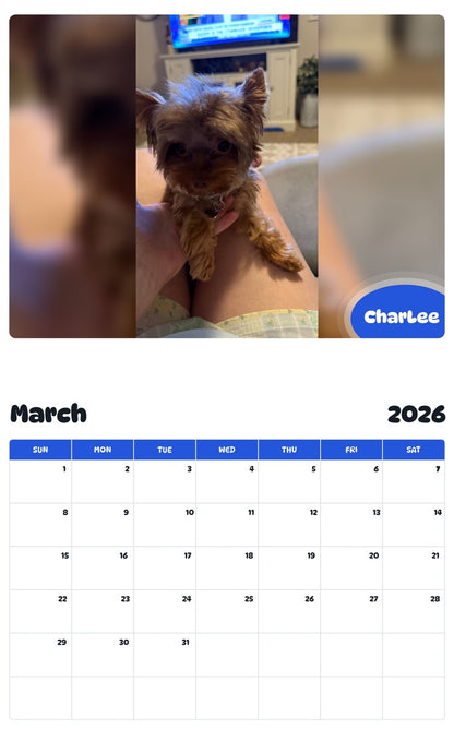 November 2025 - October 2026 CharLee - Pawidols Pet Calendar