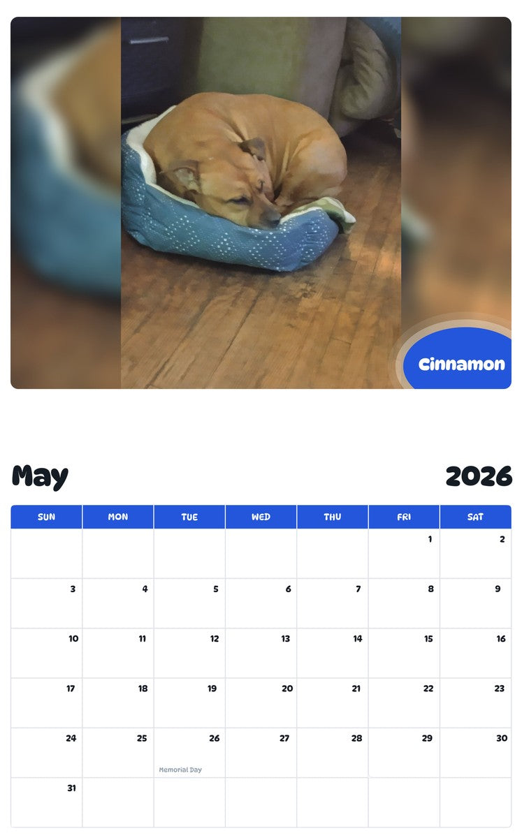 2026 - 2027 Cinnamon - Pawidols Pet Calendar