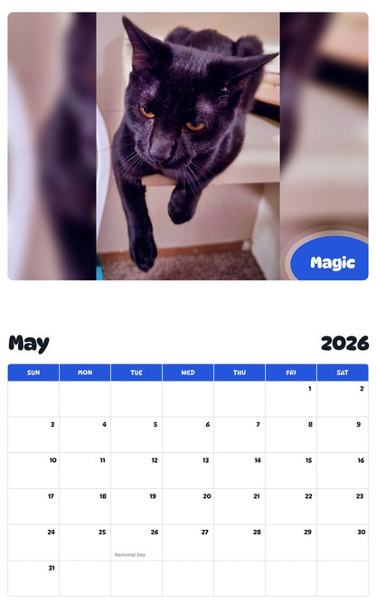 2026 - 2027 Magic - Pawidols Pet Calendar
