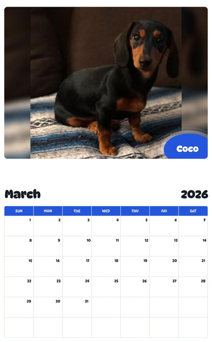 November 2025 - October 2026 Coco - Pawidols Pet Calendar