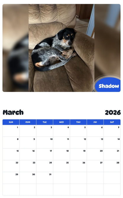 November 2025 - October 2026 Shadow - Pawidols Pet Calendar
