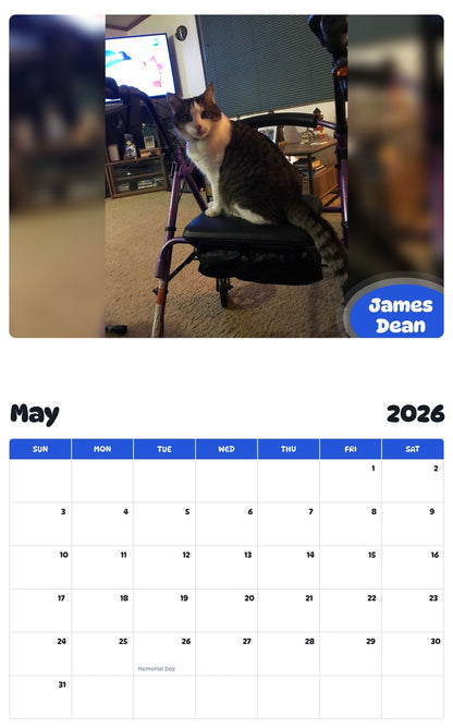 2026 - 2027 James Dean - Pawidols Pet Calendar