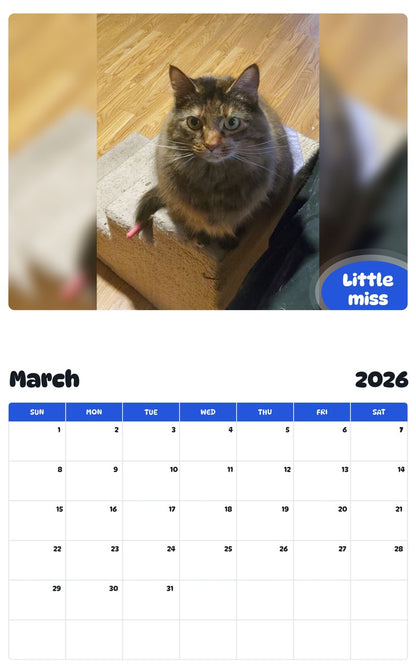 November 2025 - October 2026 Little miss - Pawidols Pet Calendar