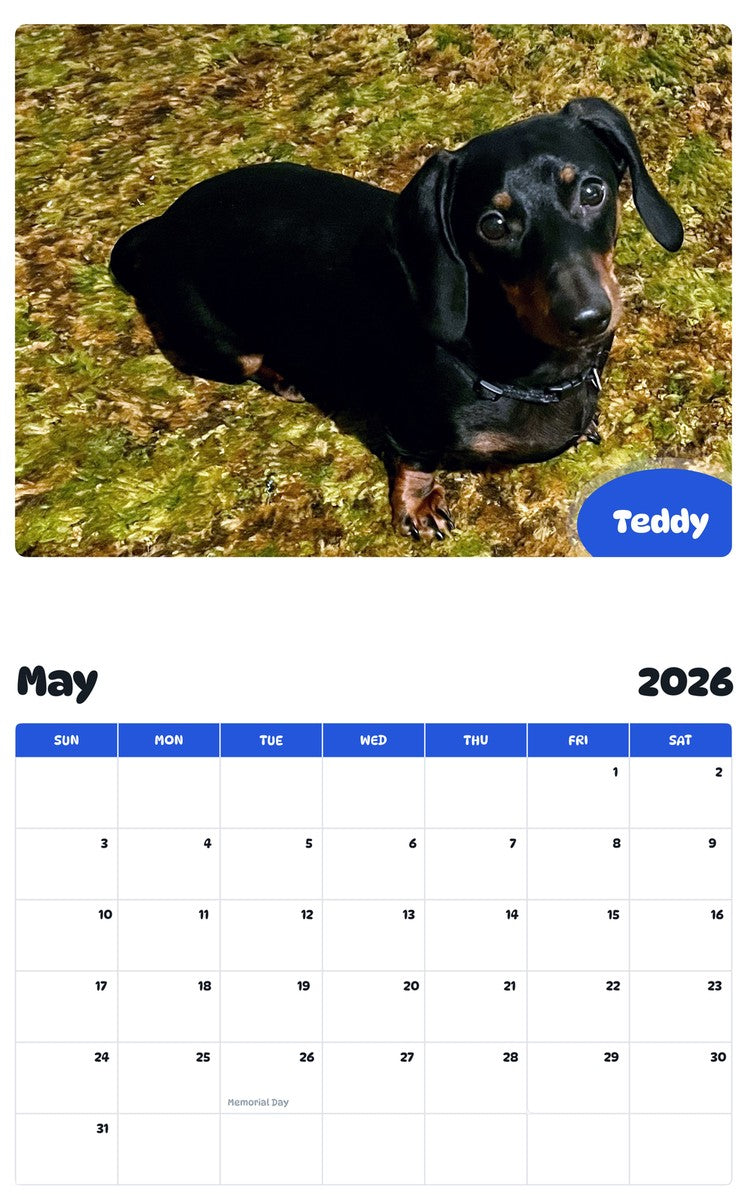 2026 - 2027 Teddy - Pawidols Pet Calendar