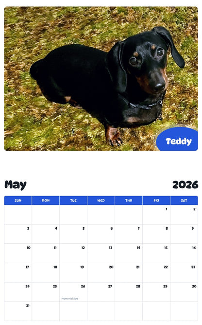 2026 - 2027 Teddy - Pawidols Pet Calendar