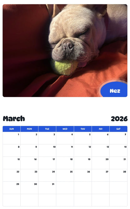 November 2025 - October 2026 Nez - Pawidols Pet Calendar
