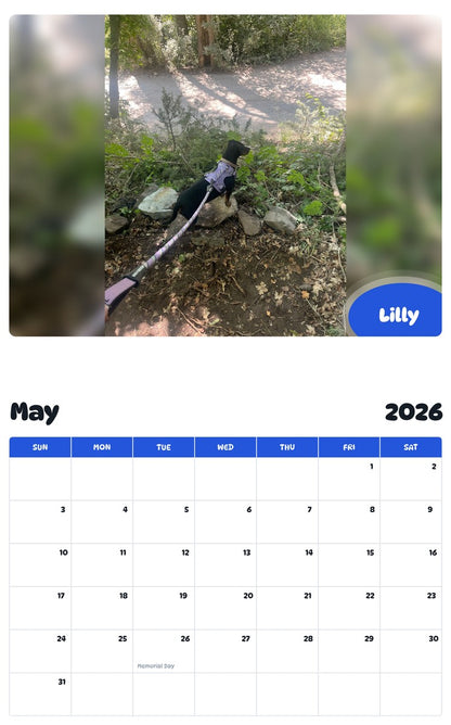 2026 - 2027 Lilly - Pawidols Pet Calendar