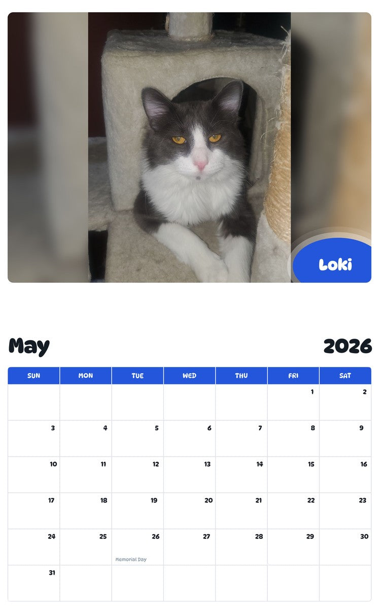 2026 - 2027 Loki - Pawidols Pet Calendar