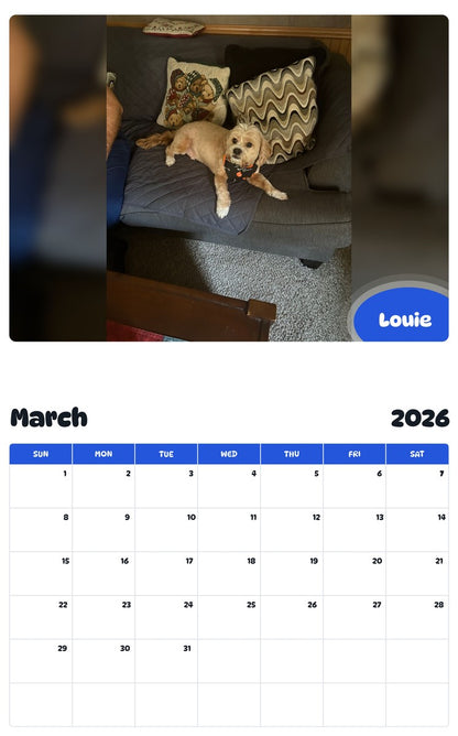 November 2025 - October 2026 Louie - Pawidols Pet Calendar