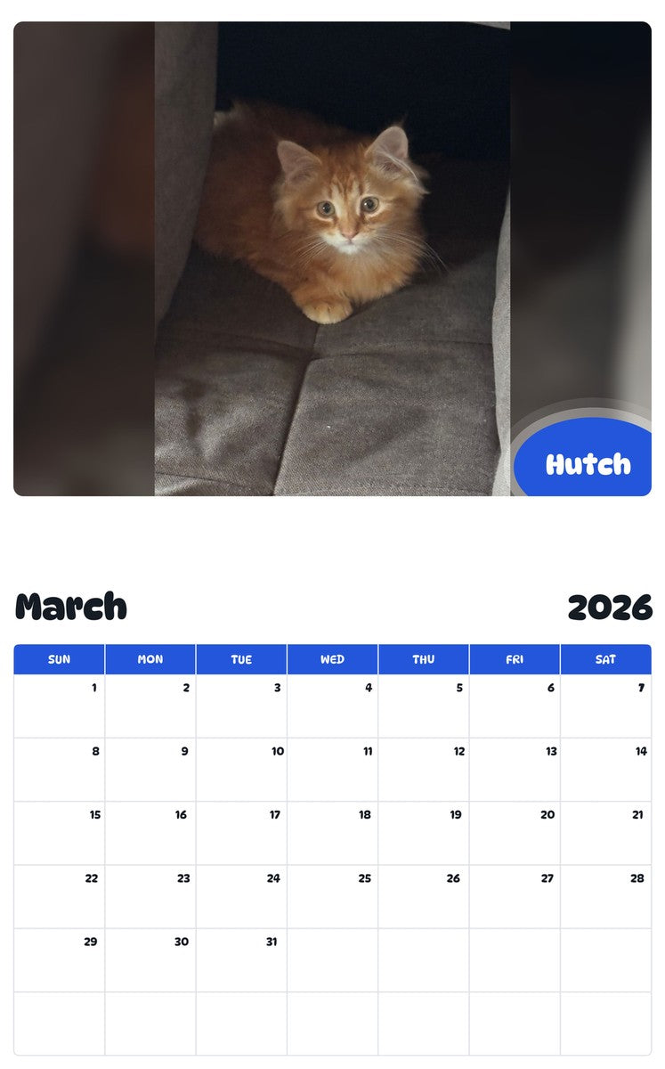 November 2025 - October 2026 Hutch - Pawidols Pet Calendar