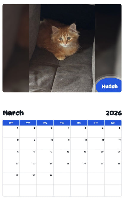 November 2025 - October 2026 Hutch - Pawidols Pet Calendar