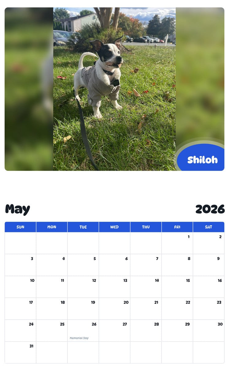 2026 - 2027 Shiloh - Pawidols Pet Calendar
