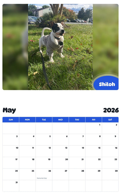 2026 - 2027 Shiloh - Pawidols Pet Calendar