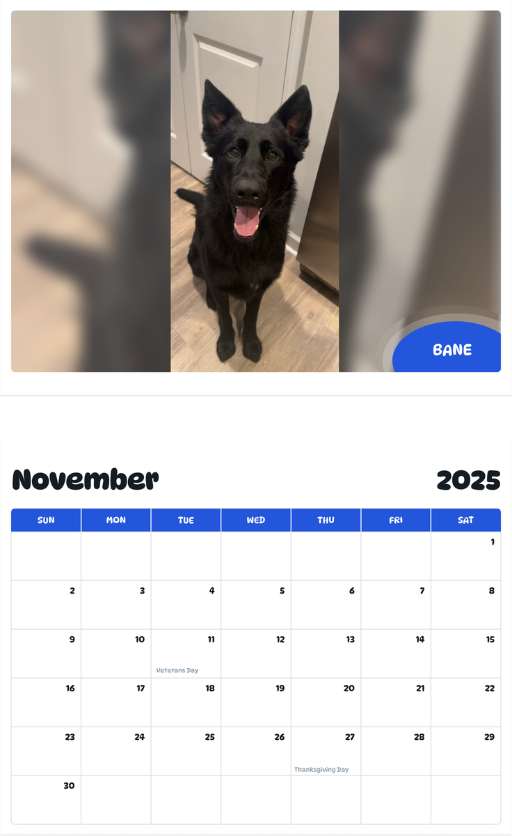 July 2025 - June 2026 Bane - Pawidols Pet Calendar