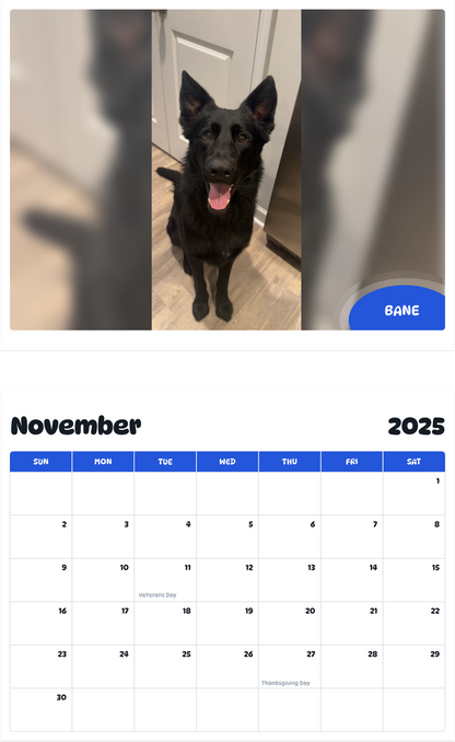 July 2025 - June 2026 Bane - Pawidols Pet Calendar