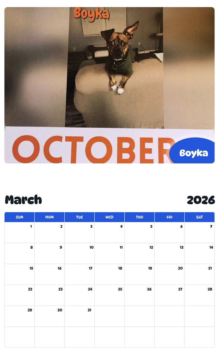 November 2025 - October 2026 Boyka - Pawidols Pet Calendar