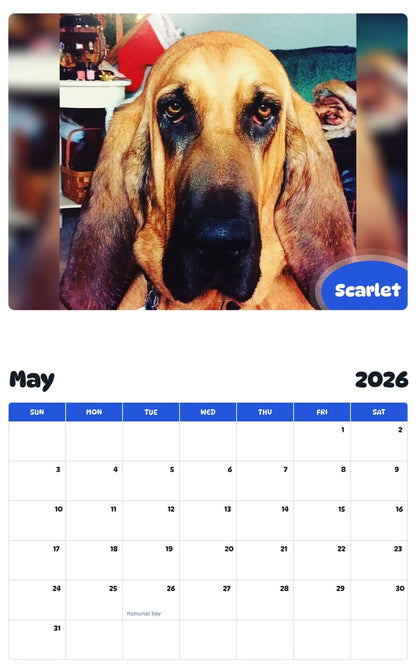 2026 - 2027 Scarlet - Pawidols Pet Calendar