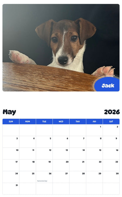 2026 - 2027 Jack - Pawidols Pet Calendar