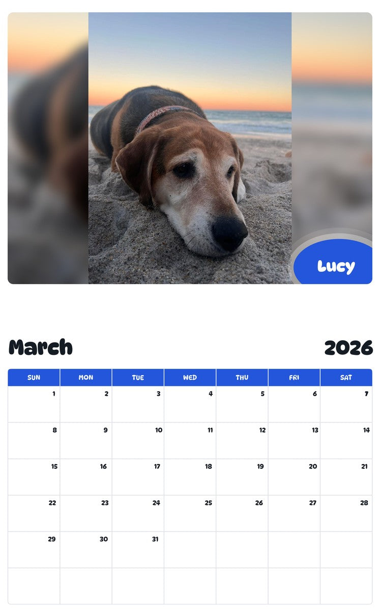 November 2025 - October 2026 Lucy - Pawidols Pet Calendar