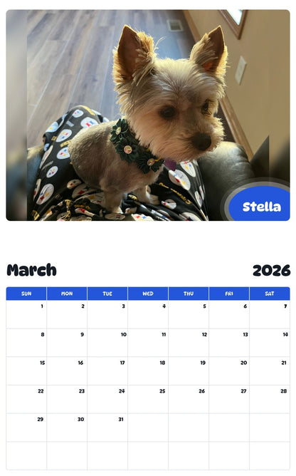 November 2025 - October 2026 Stella - Pawidols Pet Calendar