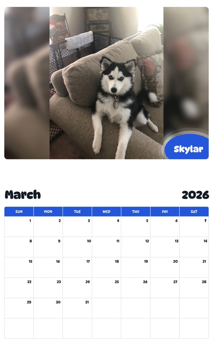 November 2025 - October 2026 Skylar - Pawidols Pet Calendar