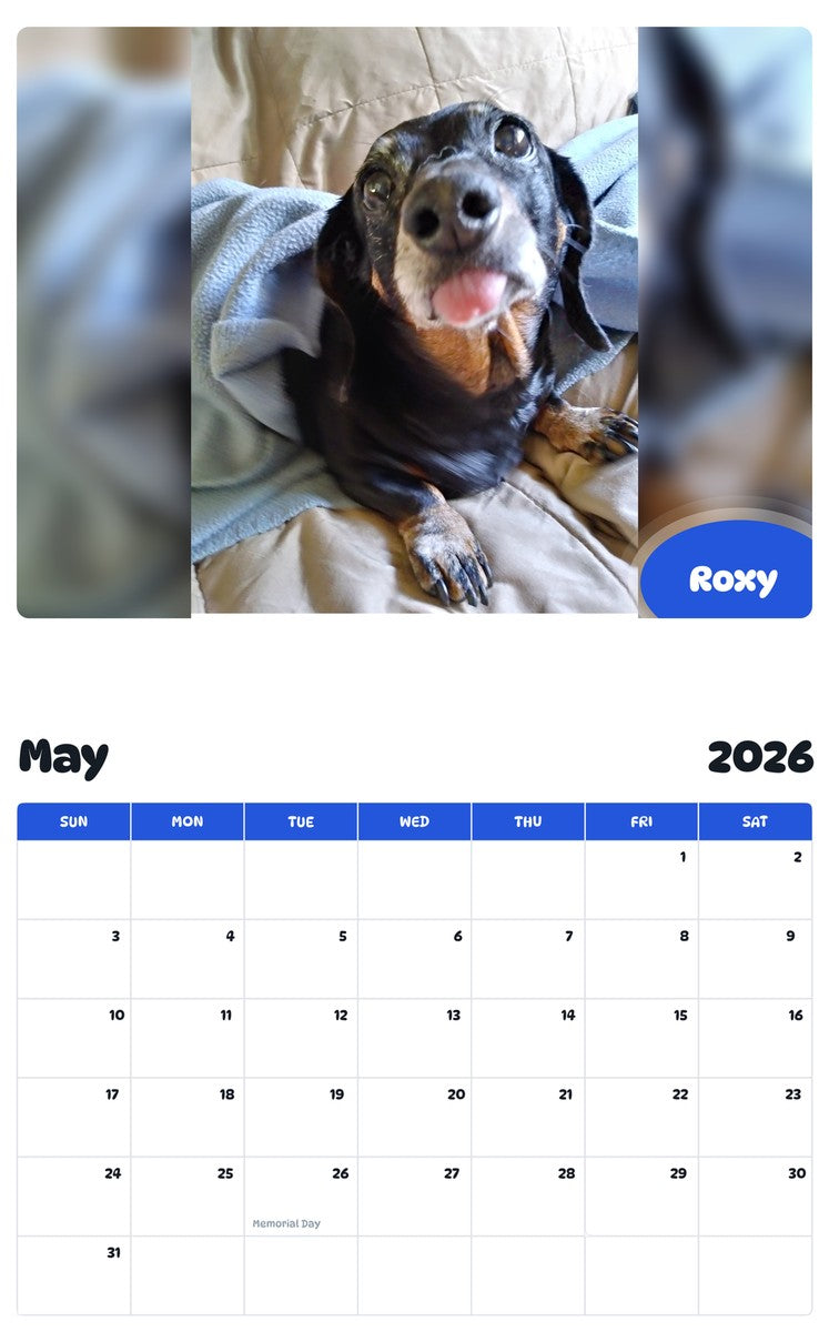 2026 - 2027 Roxy - Pawidols Pet Calendar